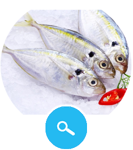 Yellow stripe trevally