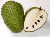 Soursop