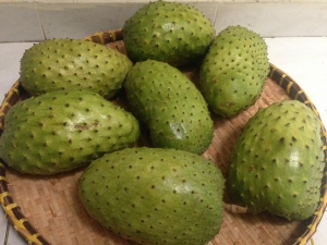 Soursop