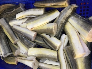 Conger Eel chunks